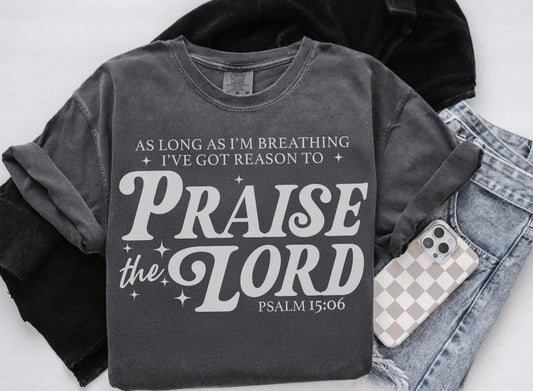 Praise the lord ADULT TEE OR PULLOVER