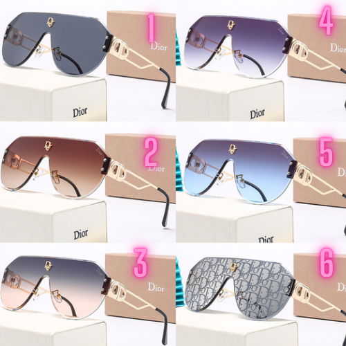 Sunglasses w case
