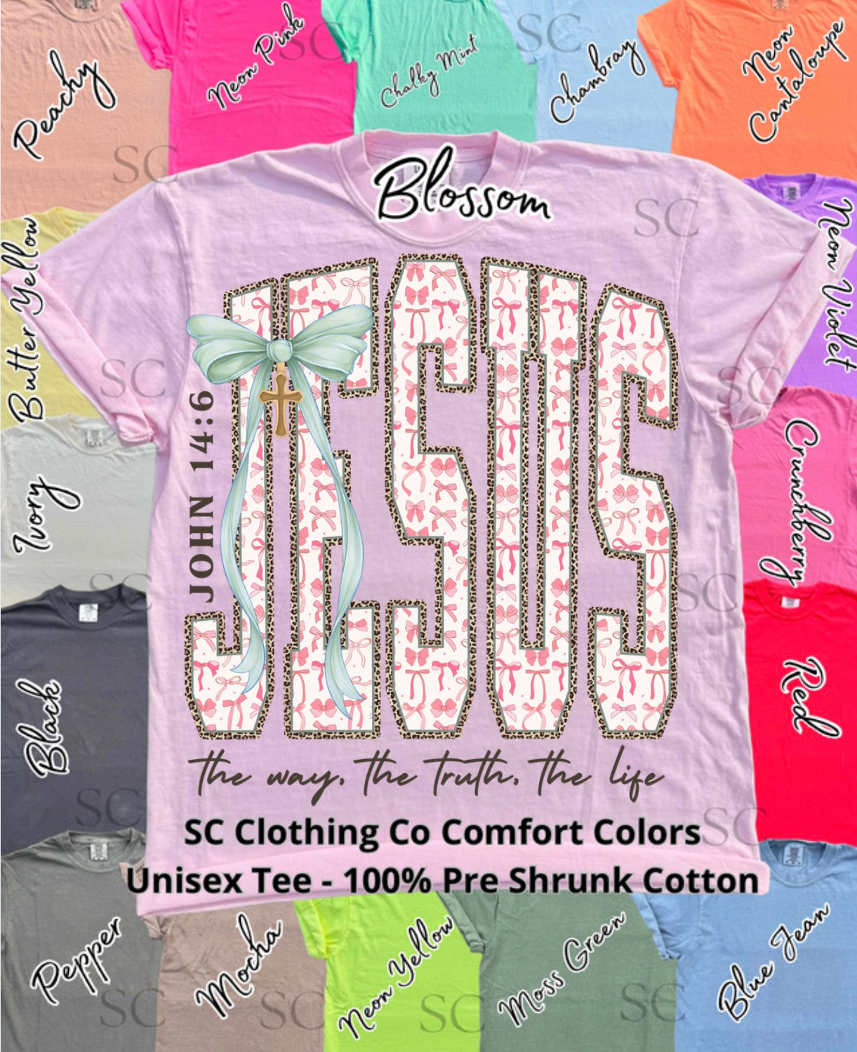 Tee Jesus Mint Bow Cheetah Outline *