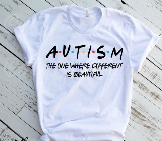 Autism ADULT TEE OR PULLOVER