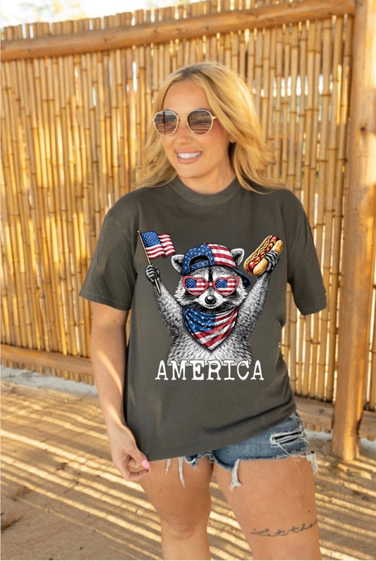 Stars, Stripes, Snacks Raccoon Comfort Colors Tee