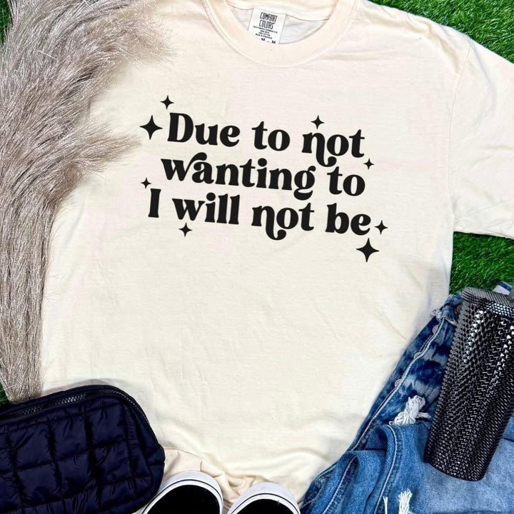 Due to not wanting to ADULT TEE OR PULLOVER