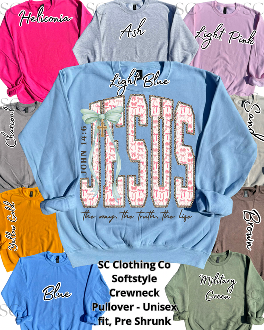 Pullover Jesus Cheetah Outline