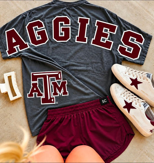 AGGIE PRIDE {tee, long sleeve or pullover}