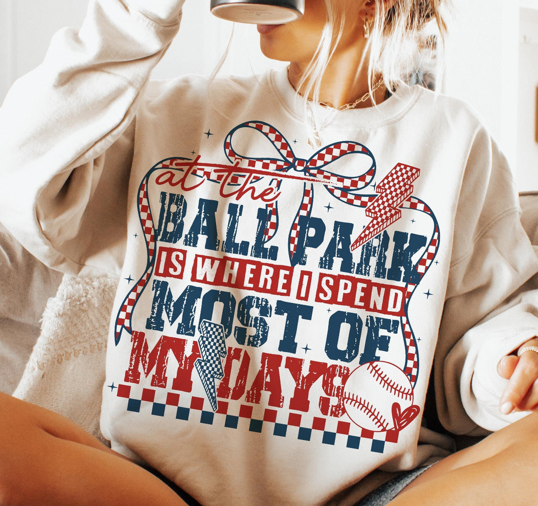 Ball park is where i spend ADULT TEE OR PULLOVER