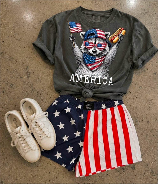 America Raccoon Top Only Comfort Colors Tee